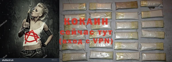PSILOCYBIN Семёнов