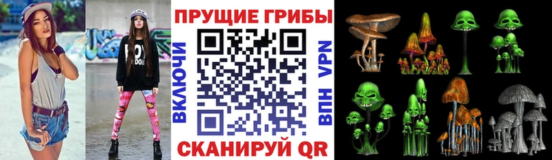 что такое наркотик  blacksprut ONION  Псилоцибиновые грибы Magic Shrooms  Горно-Алтайск 